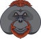 Cartoon orangutan head mascot