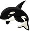 Cartoon Orca Whale Killer Whale