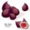 Cartoon organic figs. Vector illustration.