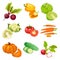 Cartoon Organic Vegetables Set