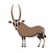 Cartoon Oryx Antelope