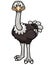 Cartoon ostrich