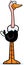 Cartoon Ostrich