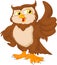 Cartoon owl bird thumb up