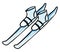 Cartoon of a pair of shoes fastened to the skis over white background, vector or color illustration