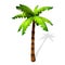 Cartoon Palm Tree