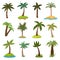 Cartoon palm trees on tropical exotic islands vector set