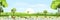 Cartoon panorama of natural Spring field with butterfly flying over daisy flowers,Beautiful scene of countryside in Sunny day