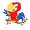 Cartoon Parrot