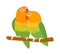 Cartoon parrots birds