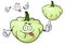 Cartoon pattypan squash vegetable character