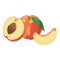 Cartoon peach. Illustration of a peach in a cut. A juicy summer fruit on a white background. Apricot. Useful vitamin