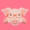 Cartoon pig face in glasses, vector illustration front