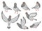 Cartoon pigeon. City dove bird, flying pigeons and town birds doves isolated vector illustration set