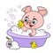 Cartoon piglet  bathes in a bath with foam and ducks color variation for coloring page on a white background