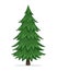 Cartoon Pine Tree