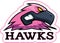 Cartoon Pink Hawk Mascot