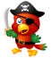 Cartoon Pirate Parrot