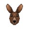 Cartoon pixelated Kangaroo icon. Pixel design.