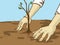 Cartoon Planting Tree. Hands Put a Seedling In The Ground