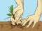 Cartoon Planting Tree. Hands Put a Sprout In The Ground