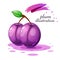 Cartoon plum illustration on the grey background