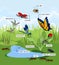 Cartoon pond landscape with many species of insects living near the water