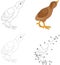 Cartoon poult. Vector illustration. Dot to dot game for kids