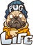 Cartoon pug dog with angry face wearing a beanie