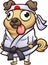 Cartoon pug wearing a karate outfit