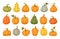 Cartoon pumpkins, halloween squash, fall harvest gourds. Pumpkins, squash and leaves vector symbols illustrations. Autumn