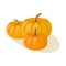 Cartoon pumpkins illustration. Autumn seasonal food.