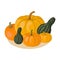 Cartoon pumpkins illustration. Autumn seasonal food