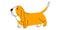 Cartoon puppy animal, cute dog dachshund doodle