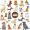 Cartoon purebred dog characters large set