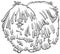 Cartoon purebred komondor dog coloring book page