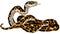 Cartoon python big snake constrictor