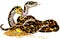 Cartoon Python snake guarding treasure