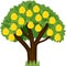 Cartoon quince tree with green crown and ripe yellow fruits
