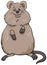 Cartoon quokka comic animal character