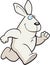 Cartoon Rabbit