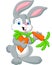 Cartoon rabbit holding a carrot