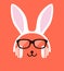 Cartoon Rabbit wearing a headset and glasses, enjoy the music