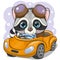 Cartoon Raccoon boy in glasses goes on a Orange car