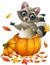 Cartoon raccoon in a pumpkin