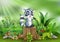 Cartoon a raccoon standing on tree stump with green plants