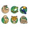 Cartoon rainforest animals set