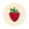 Cartoon raspberry icon