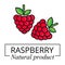 Cartoon raspberry label