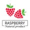 Cartoon raspberry label vector